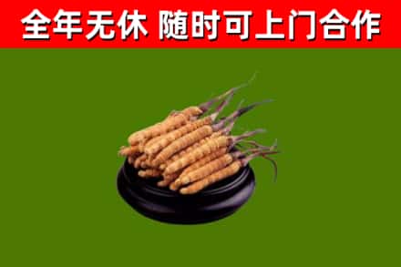 嵊州市烟酒回收冬虫夏草.jpg